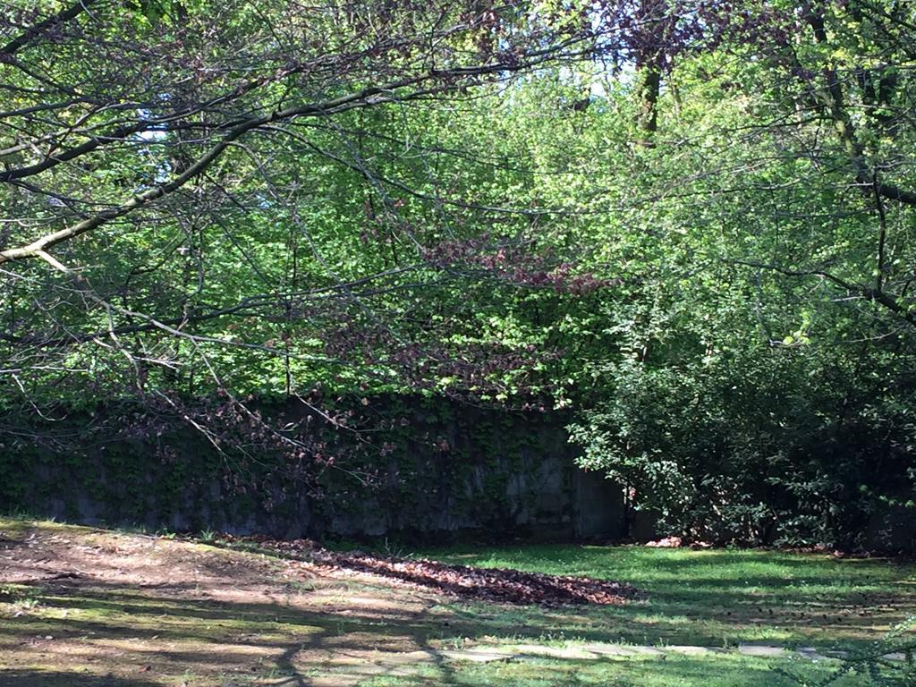 Bed&Garden Bed & Breakfast Cesate Exterior photo